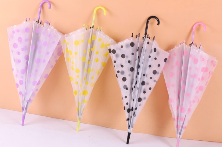 Automatic Straight Long Handle Transparent Umbrella (1)