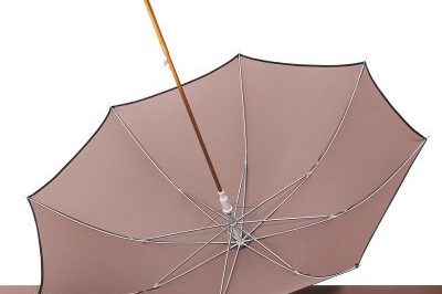Ladies Mori Series Double Retro Simple Literary Umbrella (3)
