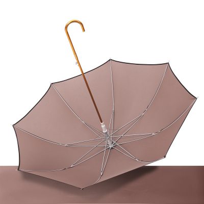 Ladies Mori Series Double Retro Simple Literary Umbrella (3)