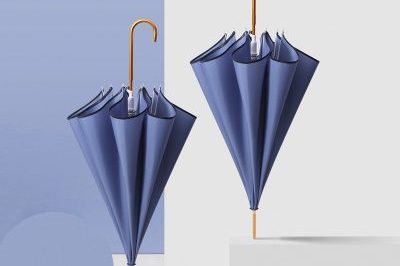 Ladies Mori Series Double Retro Simple Literary Umbrella (5)