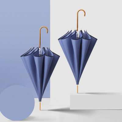 Ladies Mori Series Double Retro Simple Literary Umbrella (5)