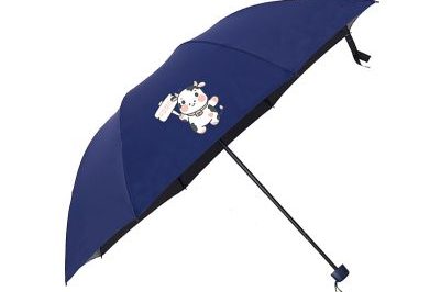 Ladies Portable Mini Folding Sun Umbrella (3)