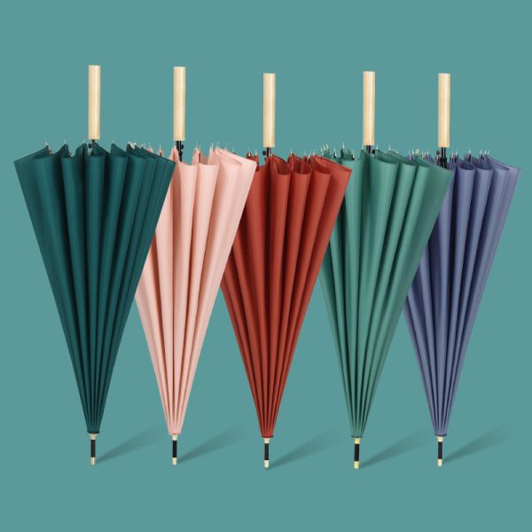 Small And Fresh New 16-Bone Plain Straight Umbrella (7)