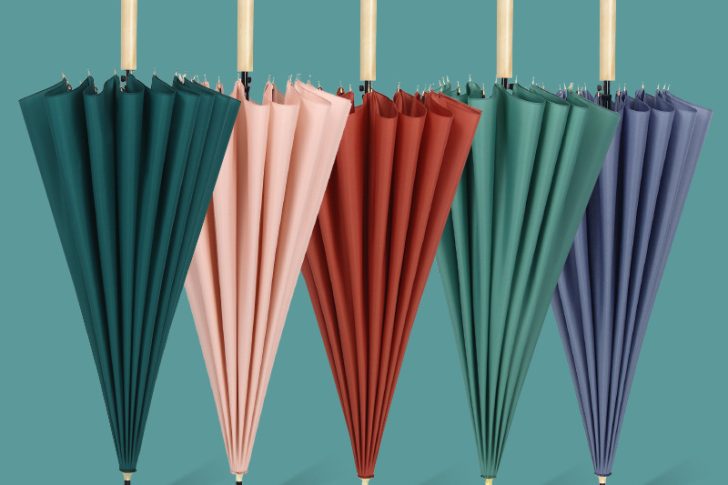 Small And Fresh New 16-Bone Plain Straight Umbrella (7)