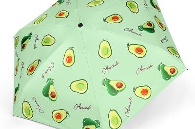 Small And Portable Customizable Sunny Rain Fruit Umbrella (1)