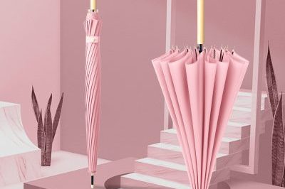 Small Fresh 16 Bone Solid Color Straight Umbrella (6)