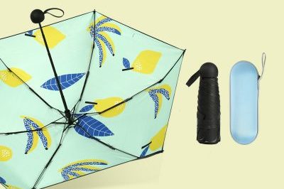 Women’s Portable Capsule Five-Fold Umbrella (6)